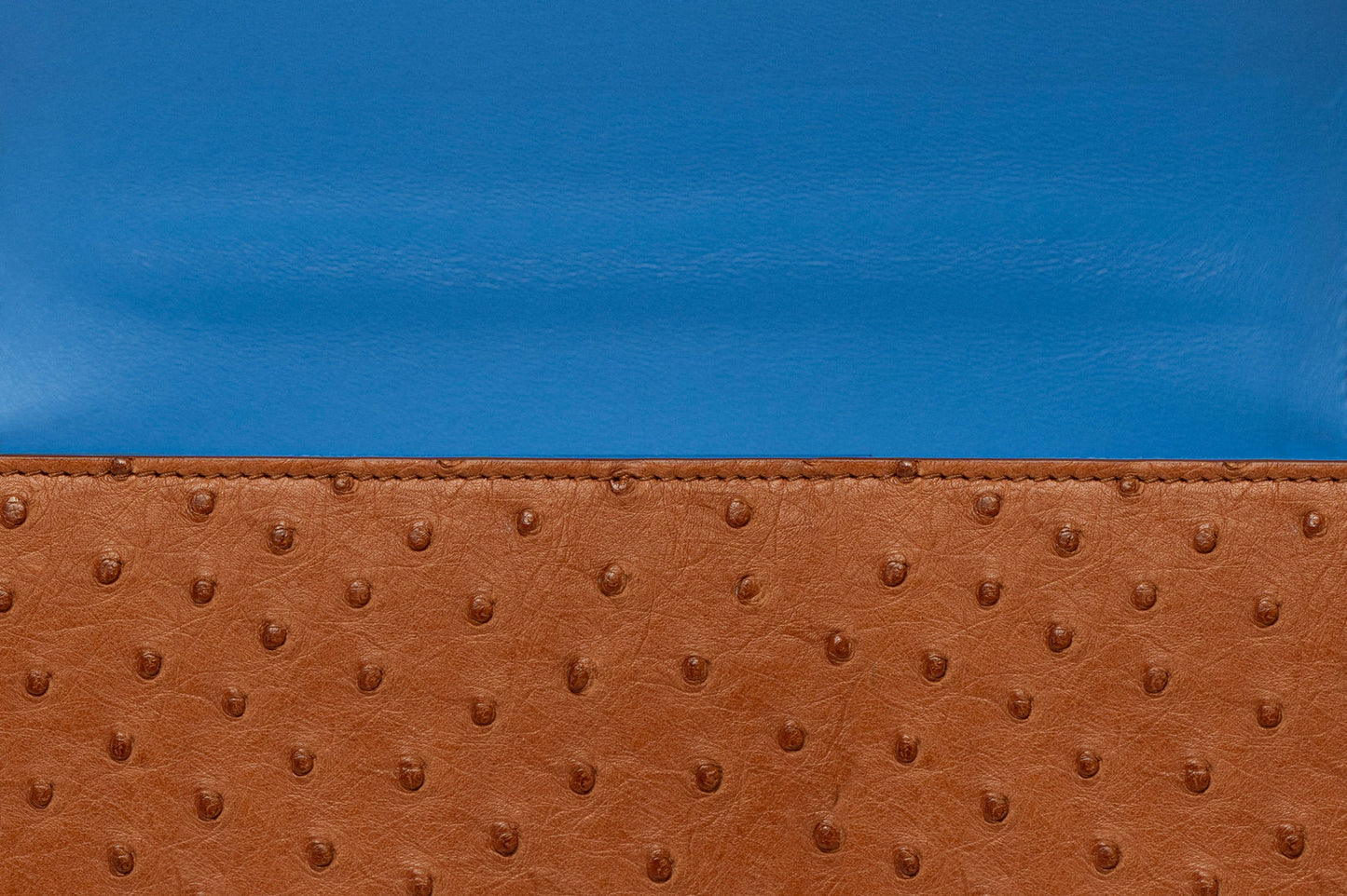 Lady’s Ostrich Bag 20