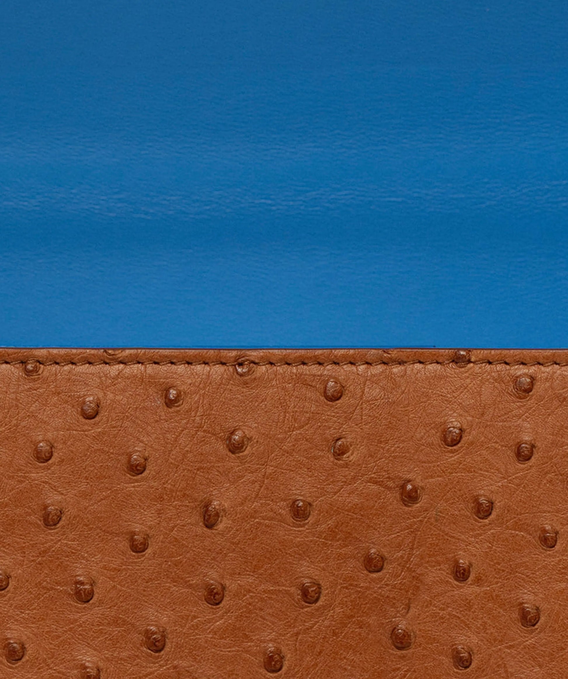 Lady’s Ostrich Bag 20